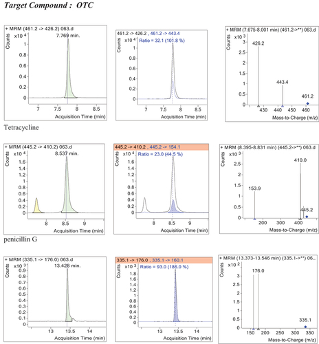 Figure 7. MRM of spiked sample with the three analytes (OTC, TTC and Pen G) at 100 μg/kg.