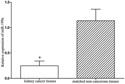 Figure 1. miR-199a expression levels in collected tissues specimens. miR-199a expression levels were significantly lower in kidney cancer tissues than that in the non-cancerous tissues. *p < .05.