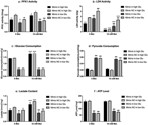 Figure 5. Effects of miR-210-5p mimic combined with or without metformin on glycolysis related enzyme and products in PANC-1 cells.