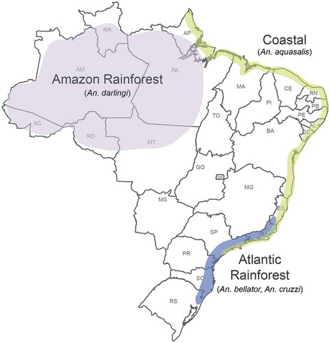 Figure 6. Map of malaria transmission systems in Brazil.The three geographically and biologically distinct transmission systems are maintained by different mosquito vectors and have different eco-epidemiological characteristics. The Amazon rainforest transmission system is the most important (99% of cases) and primarily involves An. darlingi. The Atlantic rainforest transmission system involves the bromeliad-associated mosquitoes An. bellator and An. cruzii. The ‘coastal’ transmission system mostly involves An. aquasalis.