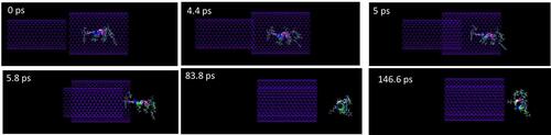 Figure 6 Representative snapshots of the release of the encapsulated peptide HA-FD-13 using an armchair (14,14) BNNT at various times. For clarity, molecules of water have not been shown.