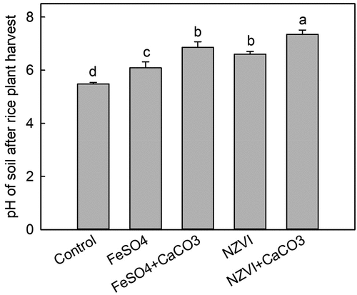 Figure 2. Effects of FeSO4 (1 g Fe kg−1), FeSO4+CaCO3 (1 g Fe kg−1 and 2 g kg−1 CaCO3), NZVI (1 g kg−1 NZVI), and NZVI+CaCO3 (1 g kg−1 NZVI and 2 g kg−1 CaCO3) on soil pH after rice harvest. Error bars represent the standard error (n = 3). Different letters indicate the mean difference is significant among treatments at the 0.05 level.