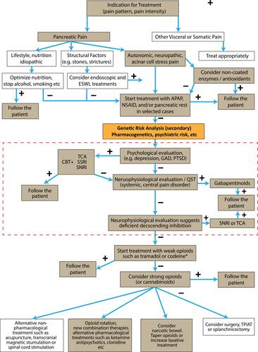 Figure 1 Clinical pain management algorithm for pharmacological treatment (tan boxes) of pain in chronic pancreatitis highlighting the steps related to management of psychiatric disease overlay (red dash-line box). Combination therapies may be necessary. When initial treatment fails, pharmacogenetic (eg CYP2D6) and genetic analysis of high-risk psychiatric loci should be reviewed at this point (orange box). Treatment with antidepressants is currently guided by psychological evaluation including assessment of catastrophizing, depression, etc., but genetic testing for genetic predisposition to severe pain linked to psychiatric disorders may guide specific therapy especially when linked to cognitive behavioral therapy (CBT). Treatment shall be individualized due to major differences in receptor properties and analgesic mechanisms between patients. Opioids shall be avoided if possible due to the major side effects on the gastrointestinal tract, etc., but in severe pain they may be prescribed for limited periods and the physician shall always be aware of opioid-induced bowel dysfunction and hyperalgesia (narcotic bowel). *The FDA-approved drug label for codeine has a black box warning that respiratory depression and death have occurred in children who had evidence of being CYP2D6 ultra-rapid metabolizers. Reprinted from Pancreatology, 17(5), Drewes AM, Bouwense SAW, Campbell CM, et al. Guidelines for the understanding and management of pain in chronic pancreatitis, 720–731. Copyright (2017), with permission from Elsevier.Citation9