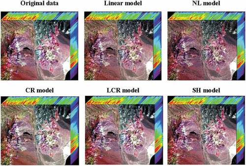 Figure 13. 3D data cubes of original reflectance data and MRR results. (line 1 from left to right: original data, linear model, NL model; line 2 from left to right: CR model, LCR model, and SH model)