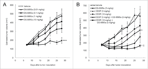 Figure 7. Antitumor activity of DS-8895a in a gastric cancer model. Mice were subcutaneously inoculated with SNU-16 cells on day 0. (A) Treatment began on day 7 with different doses of DS-8895a (0.01, 0.1, 1, and 10 mg/kg, intraperitoneal administration, once a week, 3 injections). Data represent the mean ± standard error. ***P< 0.001 as compared to the vehicle group (day 28, Dunnett's test). n = 10 per group. (B) Treatment began on day 7 with DS-8895a (5 mg/kg, intravenous administration, once a week, 3 injections), CDDP (5 and 10 mg/kg, intravenous administration, single injection), and DS-8895a (5 mg/kg, intravenous administration, once a week, 3 injections) in combination with CDDP (5 or 10 mg/kg, intravenous administration, single injection). Data represent the mean ± standard error. *P < 0.05 as compared to the vehicle group (day 28, Student's t-test). †P < 0.05 as compared to the DS-8895a (5 mg/kg) monotherapy group (day 28, Dunnett's test). §P < 0.01 as compared to the CDDP (10 mg/kg) monotherapy group (day 28, Student's t-test with Bonferroni correction). n = 9 per group.