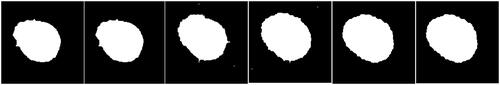 Figure 14. Image processing of condensation process on SiO2 particle.