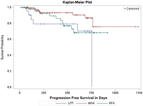 Figure 2. Kaplan–Meier curve: the figure illustrates the progression-free survival time.