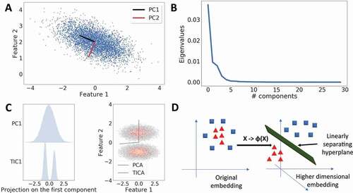 Figure 2. Dimensionality Reduction with Machine Learning. A. PCA is used to detect directions of highest variance. In a two-dimensional case, PCA resolves the variance into two orthogonal Principal Components (PCs). B. Typical eigenvalue spectrum obtained from PCA. PCA can be used to reduce dimensionality by selecting a cut-off, where the variance starts to go asymptotically to zero. C. Comparison of PCA and tICA methods on a two-well potential. Left: Projection of the first PC and tIC on the data. The first tiC correctly identifies the two minima in the free energy surface (FES). Right: tIC finds the direction along the two minima in the FES. D. Kernel PCA solves the PCA problem by first applying a non-linear transform on the data that embeds the data into a higher-dimensional space, where a hyperplane can linearly separate the data points which were not linearly separable earlier.