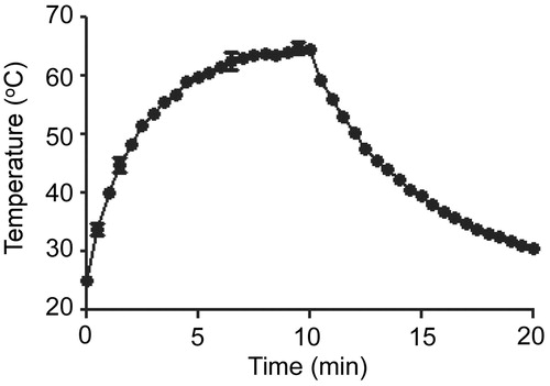 Figure 2. Temperature profile as a function of laser irradiation. Temperature was recorded in samples consisting of a colonised catheter in 500 μL of a 0.4 nM AuNC@Dap/PDA-aSpa suspension in BFM. Temperature was recorded in the absence of irradiation (time 0) and after continuous irradiation for 10 min, at which point laser irradiation was stopped and the temperature recorded for an additional 10 min. The experiment was done in triplicate with the results shown as the average ± the standard error of the mean (SEM).