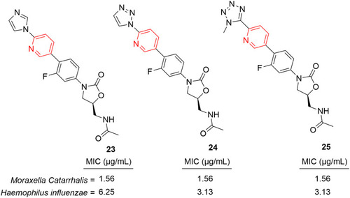 Figure 19 Oxazolidinone–pyridine-substituted antibacterial agents.