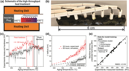 Figure 3. High-throughput experiments, precipitation simulation and ML for the design of the second-step aging. (a) Setup for the high-throughput treatment, (b) WFAM haynes 282 build with eight K-type thermal couple to monitor the temperature of different locations along the build, (c) Vickers hardness measured along the samples heat-treated for 6 and 50 hours, respectively. The points are the mean of the measured hardness, and the shaded area is the standard deviation, (d) The γ’ radius measured by SEM from the heat-treated sample where the points are the mean, and the shaded area is the standard deviation. It is not available for lower temperatures since the precipitate size is too small to be measured by SEM. The γ’ size calculated using the precipitation model is shown as the dash lines. (e) The comparison between the experimentally measured and the ML predicted hardness.