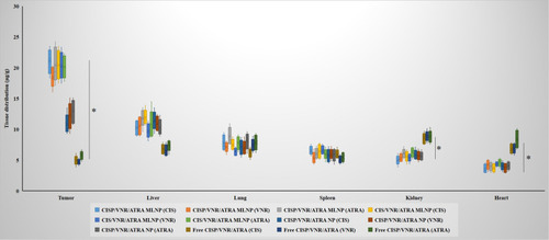 Figure 10 In vivo tissue distribution of CISP/VNR/ATRA MLNP, CISP/VNR/ATRA NP and Free CISP/VNR/ATRA. *P < 0.05.