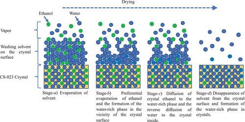 Figure 4. Behavior of the washing solvent during the drying of crystals.