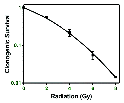 Figure 1. Breast cancer cell line radioresistance. Clonogenic survival of the MDA-MB-231 breast cancer cell line was performed to determine relative radioresistance.
