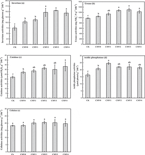 Figure 1. The activities of soil invertase (a), urease (b), catalase (c), acidic phosphatase (d) and cellulase (e) among all treatments after harvesting of late rice in 2018 (Different letters in a figure mean significance among treatments at the 5% level, n=4)