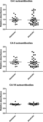 Figure 3.  IgG class autoantibody levels for carbonic anhydrase (CA) I, II, and CA VII isozymes in abstainer and alcoholic groups. The mean antibody levels were almost identical between these two groups.