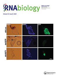 Cover image for RNA Biology, Volume 18, Issue 9, 2021