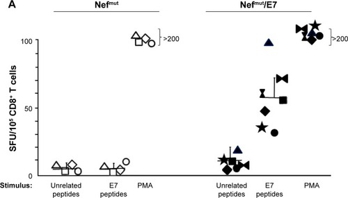 Figure 6 Antitumor therapeutic effect induced by IM inoculation of Nefmut/E7 DNA vector.Notes: C57 Bl/6 mice were challenged with 2×105 TC-1 cells, and 4 days later (arrows), when tumor masses became detectable by palpation, inoculated with either Nefmut/E7 vector (seven mice) Nefmut vector, empty vector, or vehicle (four mice per group). The DNA inoculations were repeated at day 11 (arrows) after tumor cell implantation, and the growth of tumor mass was followed over time. (A) E7-specific CD8+ T-cell response as detected by IFN-γ Elispot assay was carried out with PBMCs recovered from retro-orbital bleeding 7 days after the last immunization and cultivated for 16 hours in the presence of either unrelated or E7 peptides. As control, PBMCs were incubated with 5 ng/mL of PMA and 500 ng/mL of ionomycin. Shown are the number of SFU/105 cells from triplicate wells seeded with splenocytes from mice inoculated with either Nefmut or Nefmut/E7 vectors. (B) Determination of the tumor size during the 30-day observation time. (C) Weight of tumors from mice injected with either Nefmut or Nefmut/E7 DNA vectors at the time of sacrifice. Shown are the results of one representative of two independent experiments.Abbreviations: IM, intramuscular; PBMCs, peripheral blood mononuclear cells; PMA, phorbol 12-myristate 13-acetate; SFU, spot-forming unit.