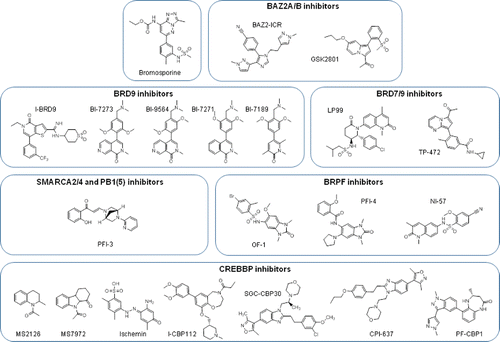 Figure 4. Non-BET bromodomain inhibitor molecules. Chemical structures of non-BET inhibitors, clustered according to the specific bromodomains in which they act. Bromosporine is a multibromodomain inhibitor.