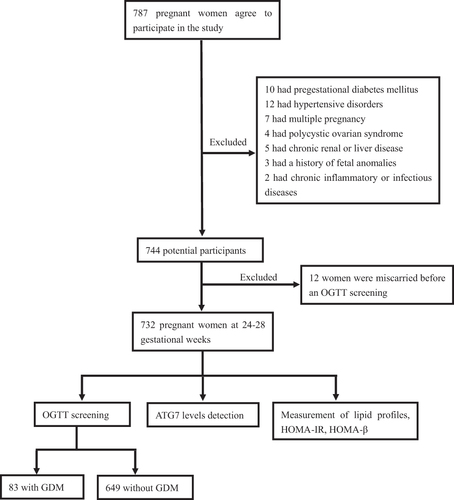 Figure 1 Flow chart of the study design.