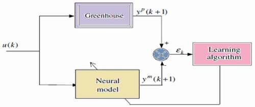 Figure 6. Direct dynamics neural modeling.