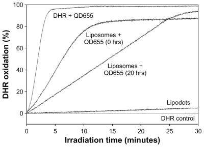 Figure 4 Oxidation kinetics of dihydrorhodamine123 by intact quantum dots QD655, lipodots, and in a mixture with empty liposomes (liposomes + QD655 incubated for 0 or 20 hours) during irradiation with 630 nm light.Abbreviations: QD, quantum dot; DHR, dihydrorhodamine.