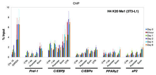 Figure 5. Histone H4 K20 mono-methylation states at the genomic loci of key adipogenic regulators during 3T3-L1 adipogenesis. Levels of histone H4 K20 mono-methylation at the genomic loci of the key adipogenic regulators Pref-1, C/EBPβ, C/EBPα, PPARγ2 and aP2 during the adipogenesis of 3T3-L1 cells were examined by ChIP analysis as described above. The primers used in this study are described in Figure 2. ChIP samples were collected at the indicated time points. These results are the averages of three independent ChIP-qPCRs, and the error bars indicate standard deviations.