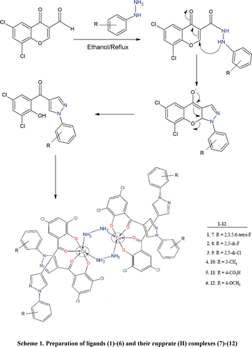 Scheme 1.  Preparation of ligands (1)–(6) and their Cu(II) complexes (7)–(12).