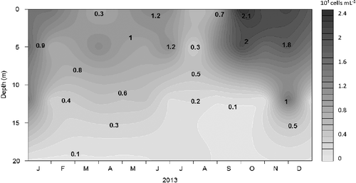 Figure 6. Seasonal and vertical distributions of picoeukaryotes (cells/mL) in the Cerrillos Reservoir.