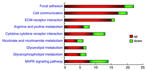 Figure 4. Distinct altered genes in certain pathways. Differentially expressed genes are classified into pathways dealing with molecular function, biological processes and cellular components. Each bar indicates the number of the genes involved in the certain pathway. Changes of the expression levels are illustrated using color coding, the key to the color code is shown on the right. The p-value < 10−4 was used as a cut-off.