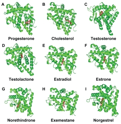 Figure 2 Progesterone (A), cholesterol (B), testosterone (C), testolactone (D), estradiol (E), estrone (F), norethindrone (G), exemestane (H), and norgestrel (I) docked onto the human progesterone receptor A (hPR A, green) in its lowest energy-docked conformation. Ligand molecules are shown in red.