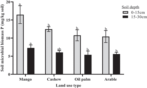 Figure 8. Soil microbial biomass phosphorus among the land use type. Bars with different alphabets are significantly different from one another (Tukey HSD, p<0.05).