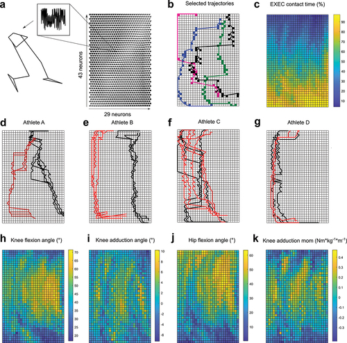 Figure 3. Results gained with the trained SOM. a) plane plot of the SOM showing the content of the single neurons that can be reconstructed into a stick figure b) movement trajectories of four selected athletes, showing distinct paths on the SOM. The coloured squares indicate the neurons that were hit by the athlete’s movement trajectory. c) distribution of the timing during the EXEC contact (%) added as a hidden variable to the SOM. The colour change indicates the change of time. d–g) visualization of the movement trajectories of sidestepping trials towards the preferred (black) and non-preferred (red) sides of four randomly selected athletes. h–k) distribution of the knee flexion and adduction angle, hip flexion angle and knee adduction moment added as hidden variables to the SOM. The colour coding represents the value of the respective parameter.