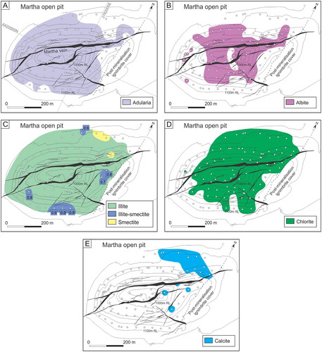 Figure 9. Maps showing the distribution of hydrothermal alteration minerals in the Martha open pit identified from XRD, A, adularia, B, albite, C, illite, illite-smectite, smectite, D, chlorite, and E, calcite (Castendyk et al. Citation2005; Simpson and Mauk Citation2007). The amount of interlayered illite in mixed-layered illite-smectite is indicated in the boxes; 0.9 corresponds to an illite-smectite with 90 percent illite. Smectite and illite-smectite with 70–80% illite occur in lenses of weakly altered rock (‘hard bars’). Veins are at 1,020 m RL (1,000 m RL = seal level), and contours are at 20-m intervals. Circles show sample locations. The location of the Martha open pit is shown in figure 2B.