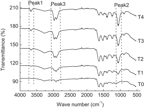 Figure 5. FTIR of pork salt-soluble proteins (SSP) heat-induced gel with various concentrations of BSDF. FTIR: Fourier transform infrared spectroscopy; BSDF: bamboo shoot dietary fibre.T0: SSP; T1: SSP+1% BSDF; T2: SSP+2% BSDF; T3: SSP+3% BSDF; T4: SSP+4% BSDF.Figura 5. FTIR de gel inducido por calor de proteínas de cerdo solubles en sal (SSP) con diversas concentraciones de BSDF. FTIR: espectroscopía infrarroja por Transformadas de Fourier; BSDF: fibra dietética de brotes de bambú.