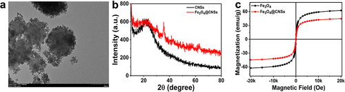 Figure 2 (a) TEM images of Fe3O4@CNSs. (b) XRD patterns of the CNSs and Fe3O4@CNSs. (c) Magnetic hysteresis loops and saturation magnetizations of Fe3O4 and Fe3O4@CNSs.