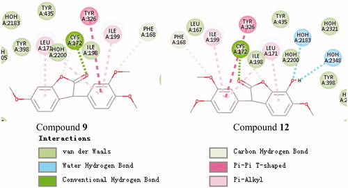 Figure 4. Schematic presentations of the putative MAO-B binding modes with compound 9 and compound 12.