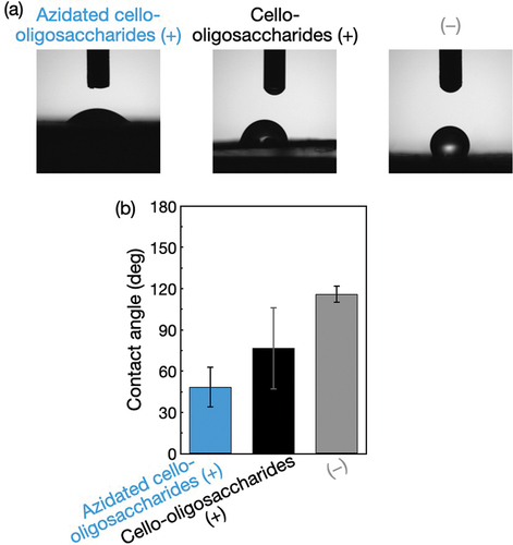 Figure 4. Contact angle measurements for the surface-modified polyolefin nonwovens. (a) Photographs and (b) Contact angles of water droplets on the polyolefin nonwovens with and without azidated cello-oligosaccharides and cello-oligosaccharides. The contact angle values are presented as the average of nine individual trials, and the error bars represent the standard deviation of those trials.