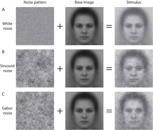 Figure 3. Stimuli for noise-based reverse correlation (right column) consist of a noise pattern (left column) superimposed on a base image (middle column). The top (a), middle (b) and bottom (c) rows represent white-, sinusoid- and Gabor-noise, respectively.