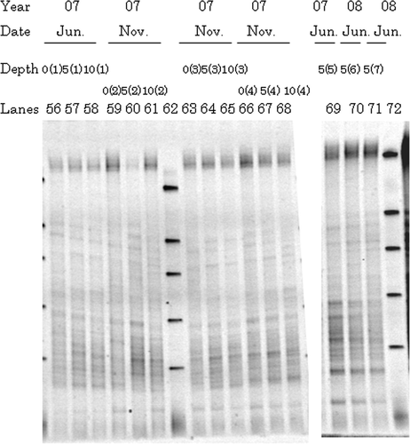 Figure 3. Typical denaturing gradient gel electrophoresis profiles for polymerase chain reaction-amplified fragments of 16S rRNA genes from representative surrounding soils at 2007 and 2008: 0, 0–5 cm depth; 5, 5–10 cm depth; 10, 10–20 cm depth. Numbers in parenthesis behind 0, 5, or 10 correspond to sampling site. Markers were electrophoresed in Lanes 62 and 72.