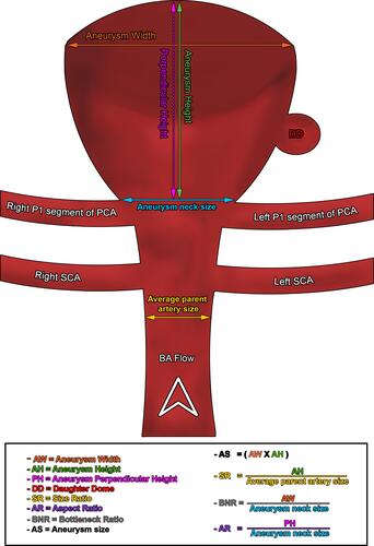 Figure 4 Schematic diagram illustrating calculation of BA aneurysm measurements.
