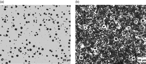 Figure 1. (a) Un-etched optical micrograph of As-cast ductile iron at 20 μm mag. (b) Etched optical micrograph of As-cast ductile iron at 20 μm mag. (2% Nital for 12 s).