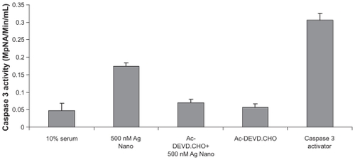 Figure 3 Silver nanoparticles induce apoptosis in Dalton’s lymphoma ascites cells by caspase 3 activation.*P < 0.05 versus controls, data were mean ± standard deviation calculated from three individual experiments (n = 3; *P < 0.01, **P < 0.001, ***P < 0.0001).