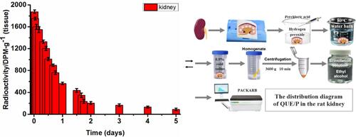 Figure 2 The distribution of quercetin/PEG-b-(PELG-g-PZLL) compound in rats.