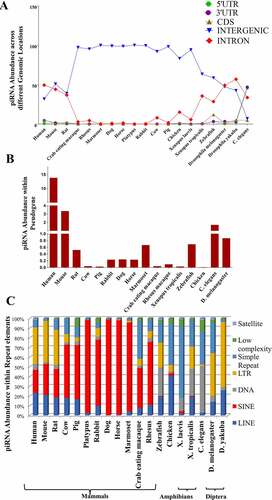 Figure 2. Distribution of multispecies piRNAs: (a) across different genomic locations, (b) within pseudogenes and (c) within repeat family.