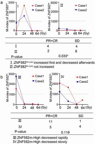 Figure 5. The amplitude of ZNF582m levels were related to radiotherapeutic response.