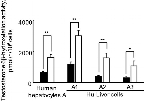 Figure 7. Testosterone 6β-hydroxylation activities in human hepatocytes and Hu-Liver cells treated with rifampicin. Filled and open squares indicate basal (0.1% DMSO-treated) and 20 μM rifampicin-treated hepatocyte lots, respectively. The fold induction in testosterone 6β-hydroxylation activities in human hepatocytes lot A and Hu-Liver cells lots A1, A2 and A3 was 2.5, 2.7, 4.1 and 3.7, respectively. *p < .05; **p < .01; ***p < .001. Data represent the mean ± standard deviation of triplicate determinations.
