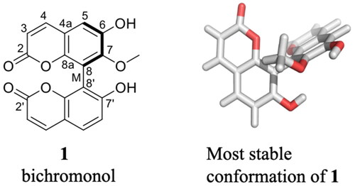 Figure 1. Structure of bichromonol (1) from Hypericum roeperianum and its most stable conformation with the Sa (or M) atropisomer configuration (dihedral angles 8a-8-8’-8á = −67.9°, 8-7-O-C = −71.4°) constructed using MOE 2013.0801 (see Supplemental Information).
