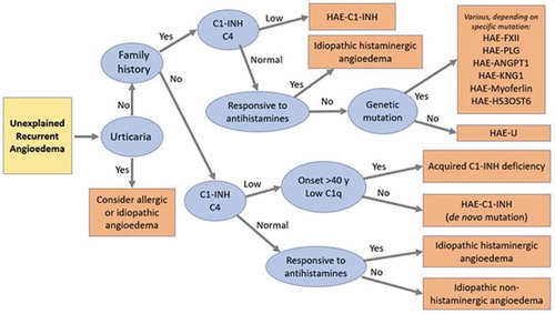 Figure 2. Diagnostic workup for patients with unexplained recurrent angioedema [Citation27,Citation42,Citation64]. Each evaluation step is shown as an oval with possible outcomes indicated with arrows. Eventual diagnoses are shown in boxes. C1-INH testing must include C1-INH functional activity if the antigenic level is normal. Response to antihistamines requires regular and sustained dosing (at least long enough for 3 expected attacks) using high dose antihistamines (at least 4 times the standard dose of second-generation non-sedating antihistamines). C1-INH, C1-inhibitor; HAE-C1-INH, hereditary angioedema due to C1-inhibitor deficiency; HAE-ANGPT1, hereditary angioedema with a specific angiopoietin-1 gene mutation (ANGPT1); HAE-FXII, hereditary angioedema with F12 mutation; HAE-HS3OST6, hereditary angioedema with a mutation coding for the heparan sulfate glucosamine 3-O-sulfotransferase-6 (3-OST-6); HAE-KNG1, hereditary angioedema with a specific kininogegn-1 gene mutation (KNG1); HAE-Myoferlin, hereditary angioedema with a specific myoferlin gene mutation (MYOF); HAE-PLG, hereditary angioedema with a specific plasminogen gene mutation (PLG); HAE-U, hereditary angioedema, unknown mutation