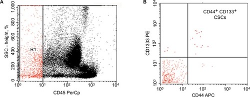 Figure 1 Flow cytometric detection of cancer colon circulating cancer stem cells.Notes: (A) CD45 and side scatter histogram were used to select the CD45−cells. (B) The expression of CD133 and CD44 on CD45− cells was then assessed. Circulating stem cells are CD45− CD44+ CD133+.Abbreviations: CSCs, cancer stem cells; PE, phycoerythrin.